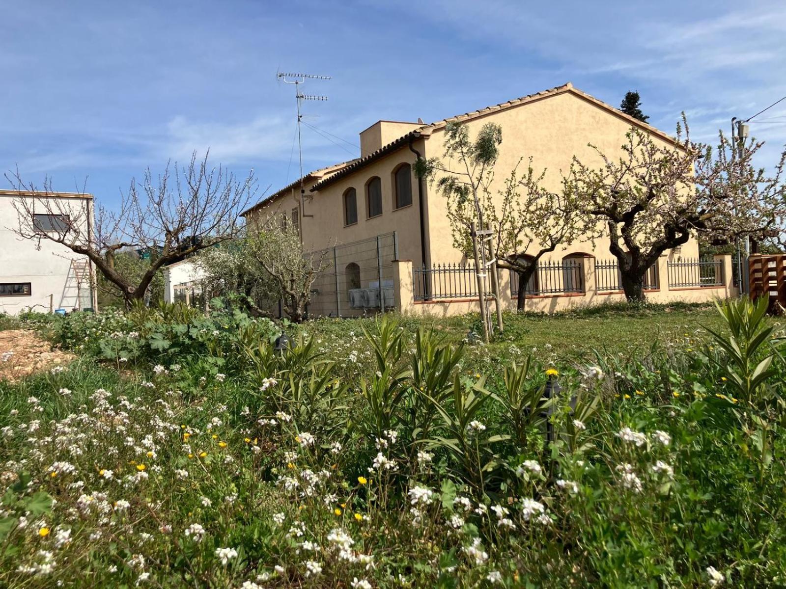Apartment With Private Pool And Garden San Martín Sarroca المظهر الخارجي الصورة