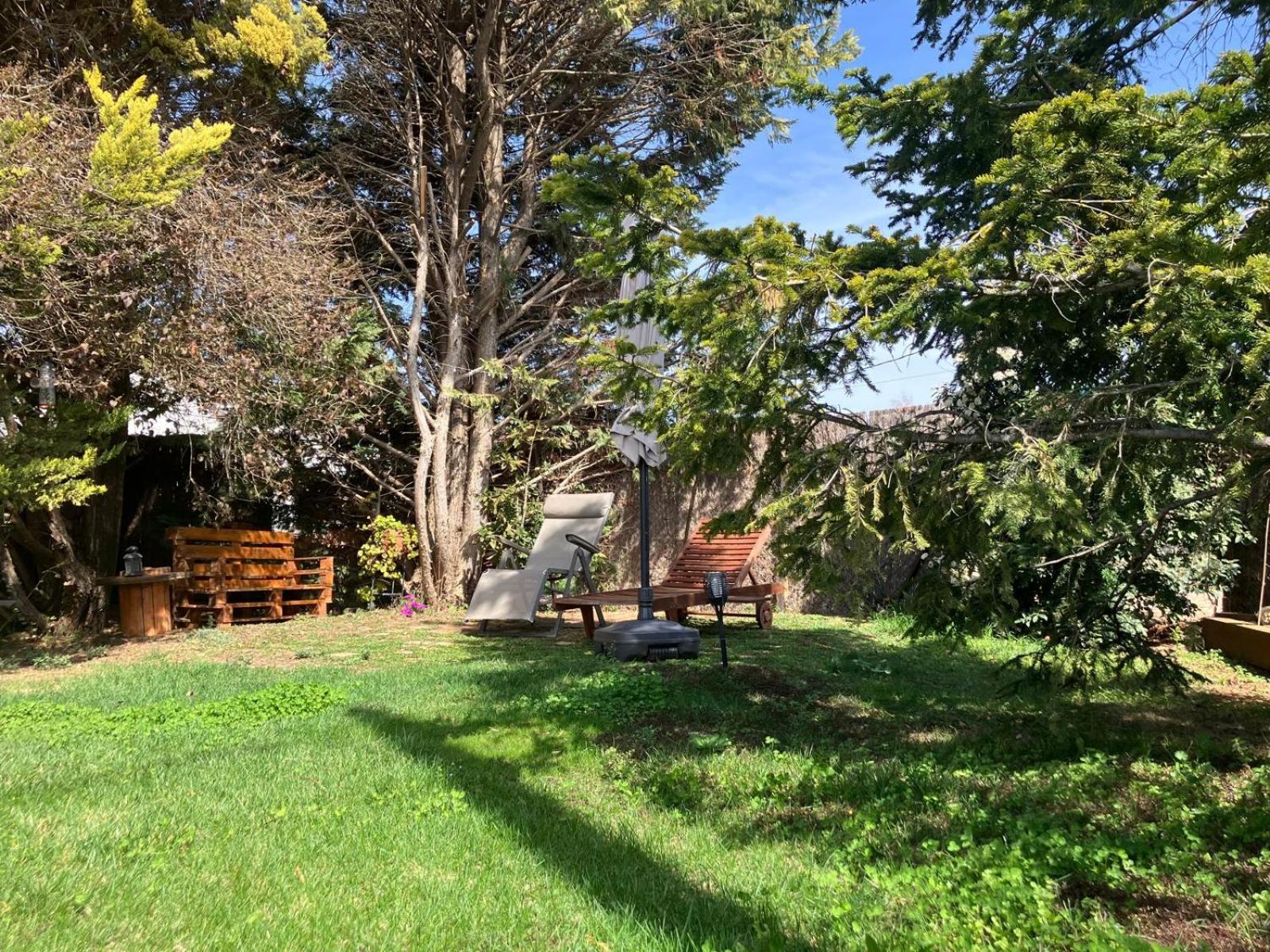 Apartment With Private Pool And Garden San Martín Sarroca المظهر الخارجي الصورة