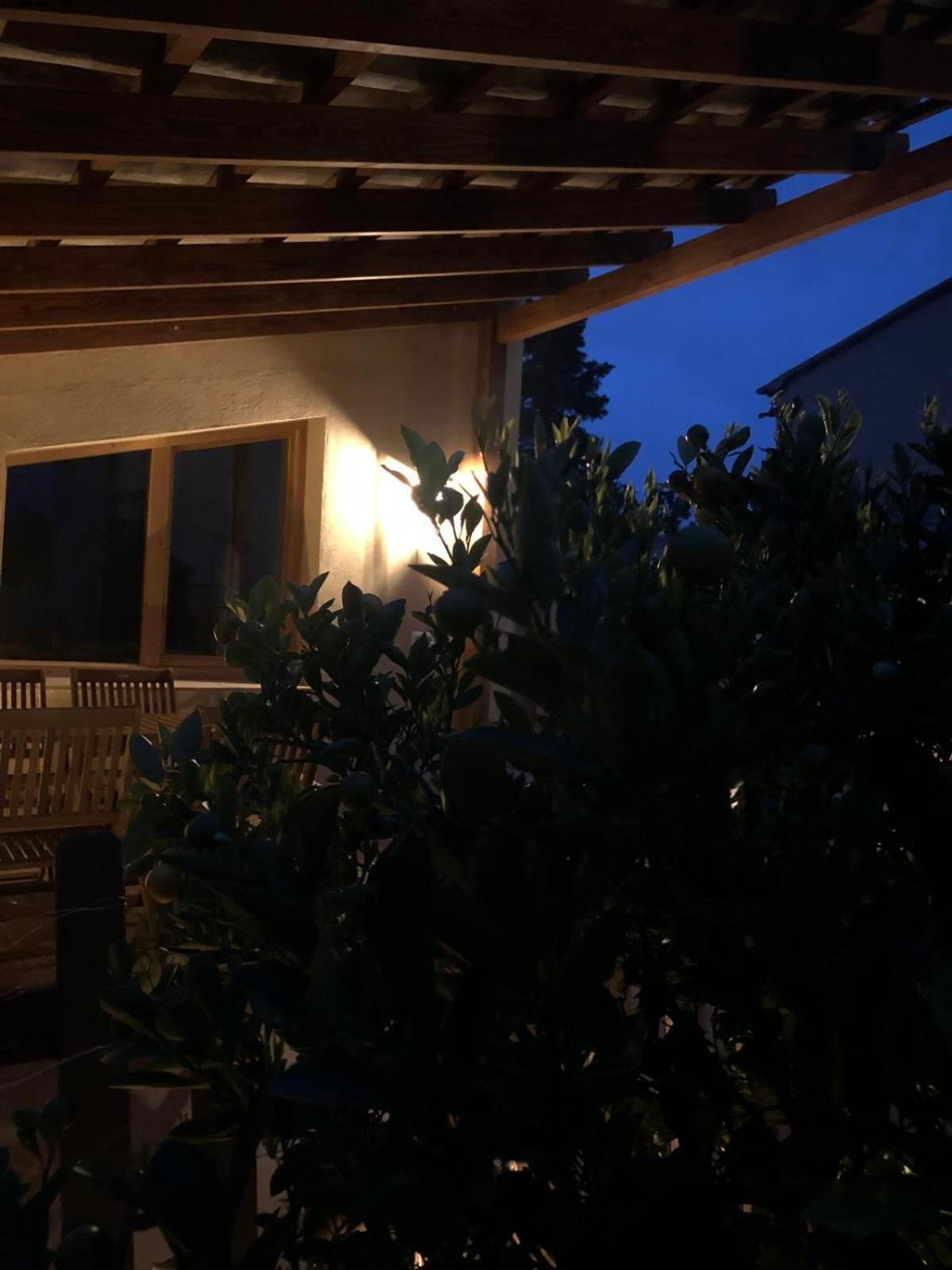 Apartment With Private Pool And Garden San Martín Sarroca المظهر الخارجي الصورة